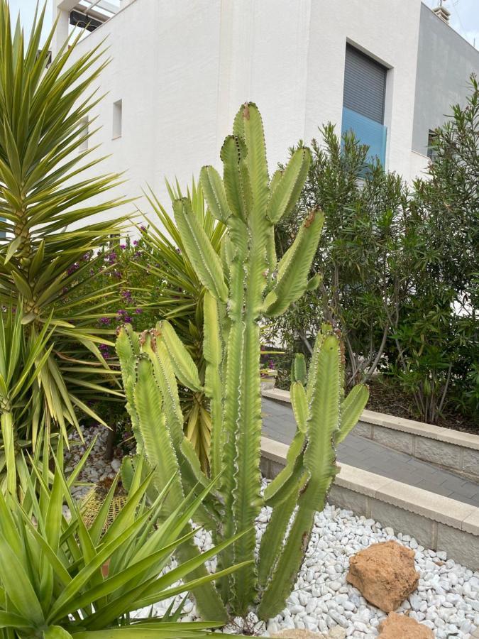 Oasis Beach Apartments Alicante Zewnętrze zdjęcie