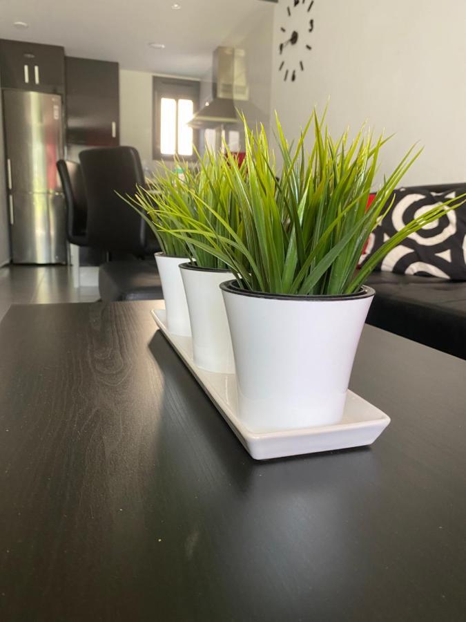 Oasis Beach Apartments Alicante Zewnętrze zdjęcie