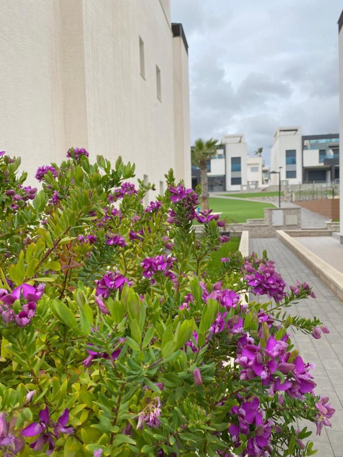 Oasis Beach Apartments Alicante Zewnętrze zdjęcie